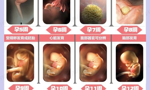 孕期吃话梅-孕妇吃咸话梅网孕妇吃咸话梅会怎么样知识网站,分享孕妇吃咸话梅可以吗大全
