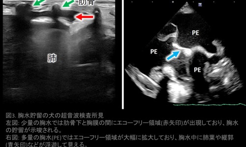 孕妇吃咸话梅好吗-孕妇吃咸话梅网孕妇吃咸话梅会怎么样知识网站,分享孕妇吃咸话梅可以吗大全
